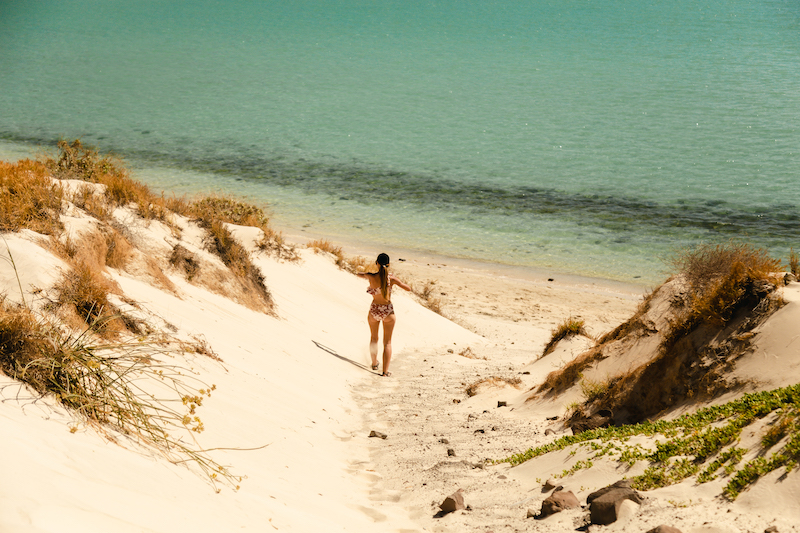 To get from Cabo San Lucas to Playa Balandra, you can rent a car or take a guided tour