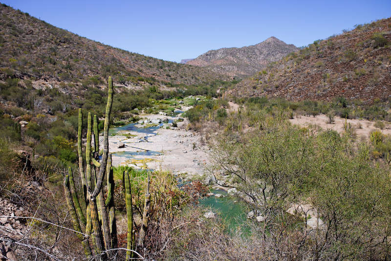 Baja California Sur Road Trip