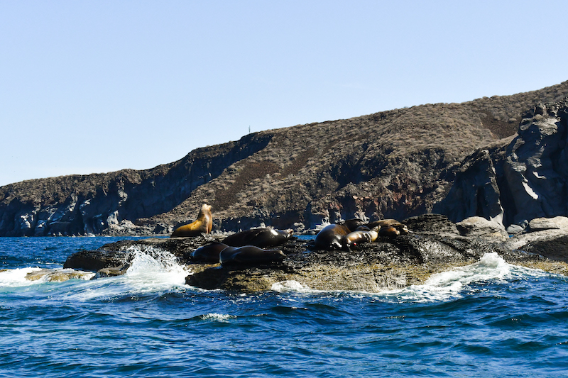 Bay of Loreto National Park