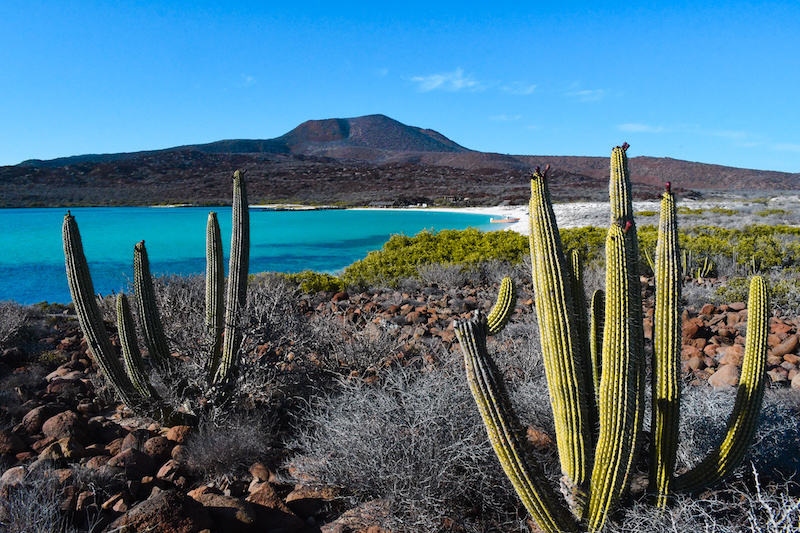 Baja California beaches