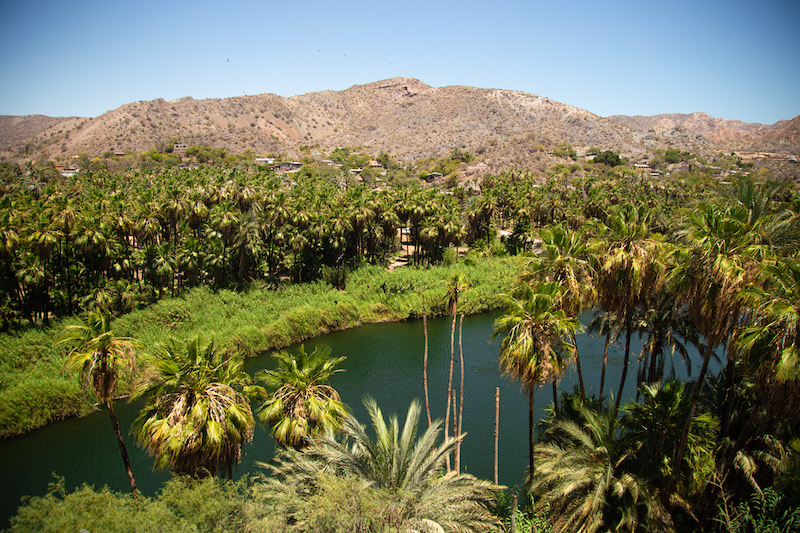 Best things to do in Mulege, Baja California Sur 