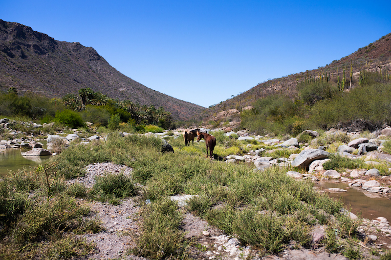 San Javier, Baja California Sur 