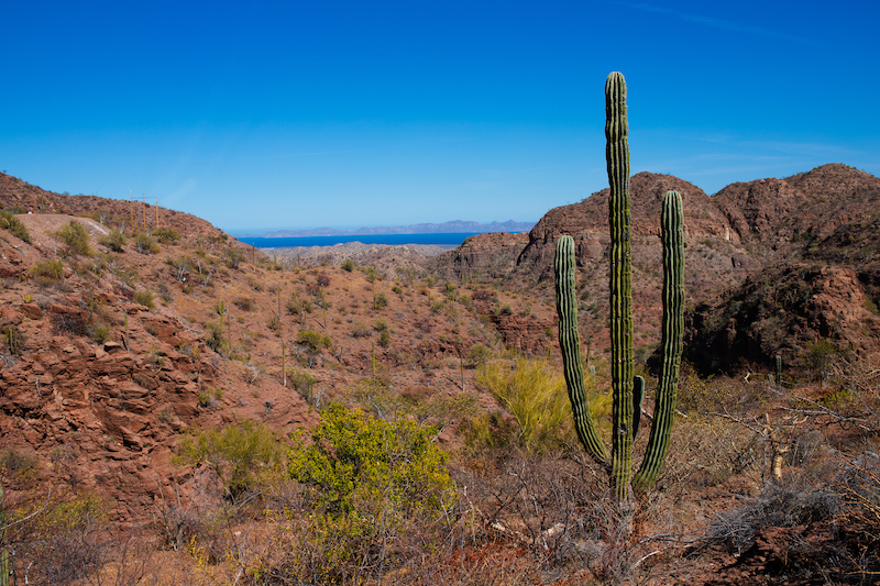 Best hikes in Loreto, Mexico