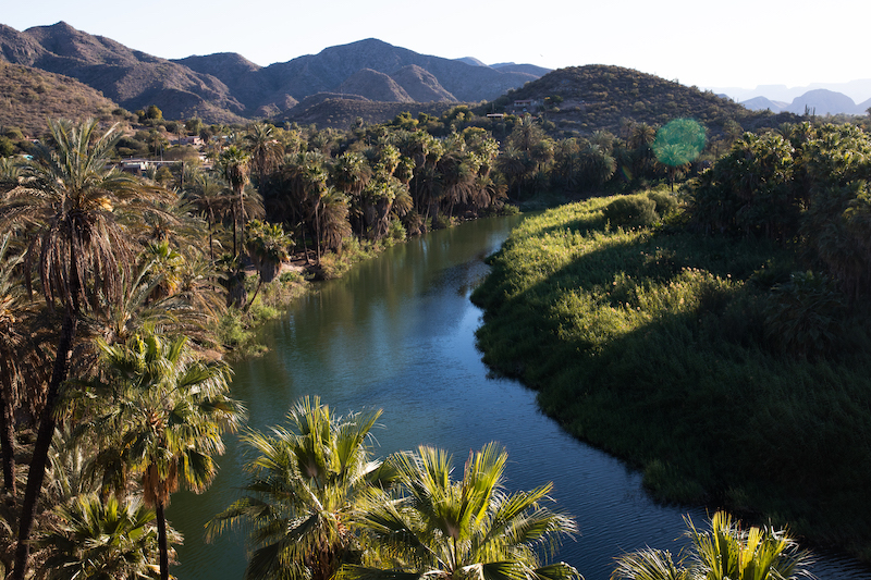 Explore Baja California