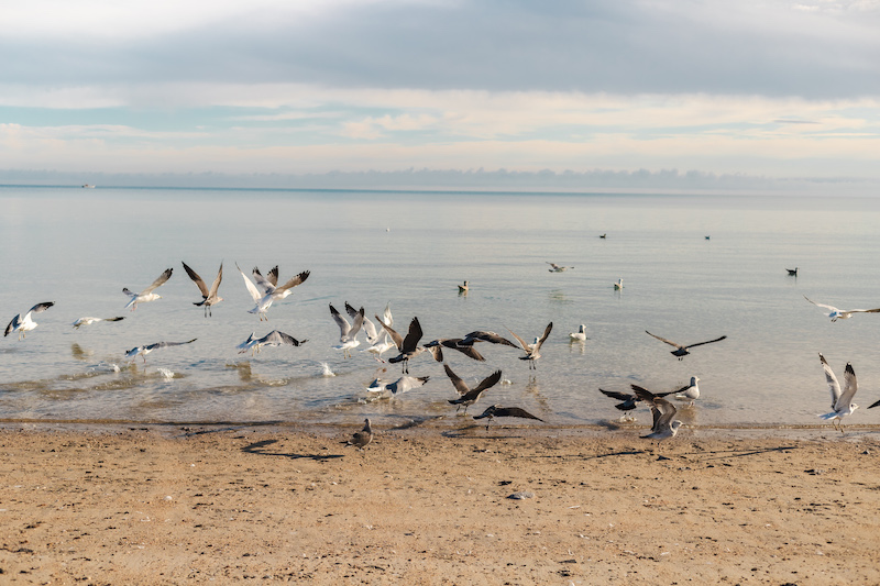 Baja California is one of the most popular places to visit in Mexico