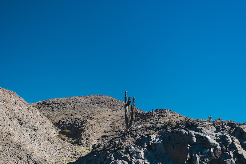 Bahia de Los Angeles 