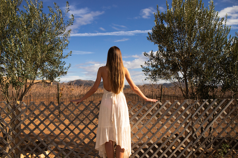 Valle De Guadalupe wine tours 