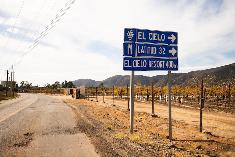 Valle De Guadalupe wine tours 