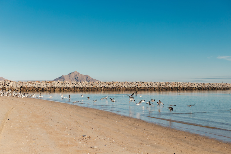 Best San Felipe beaches 