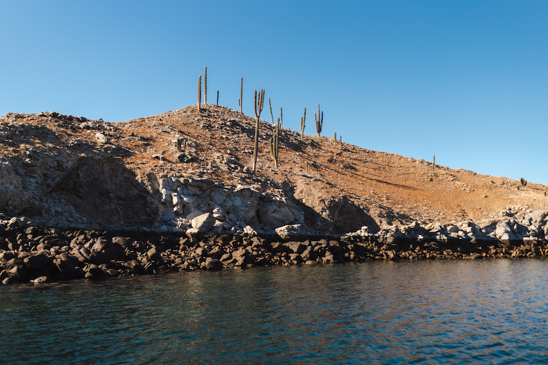 Bahia De Los Angeles 