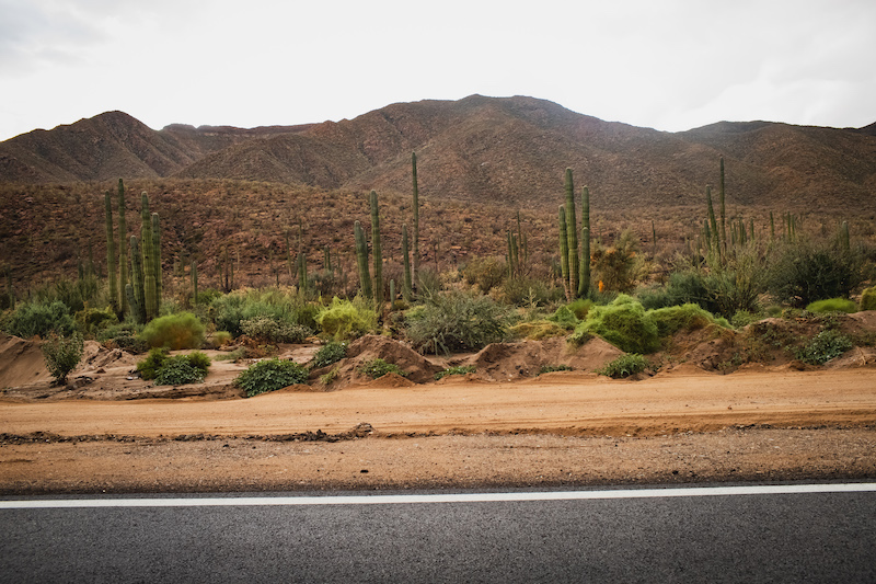 Bahia De Los Angeles, Baja California 