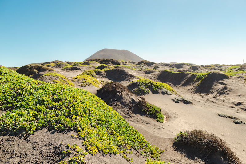 Punta Mazo, Baja California 