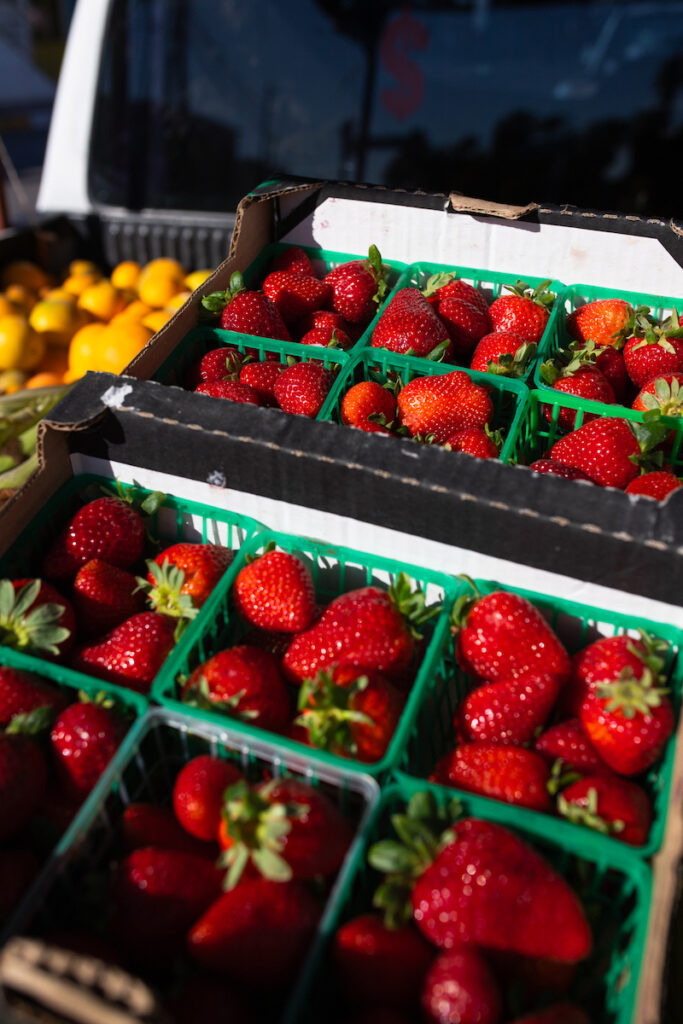 Enjoying local produce is one of the best things to do in San Quintin.