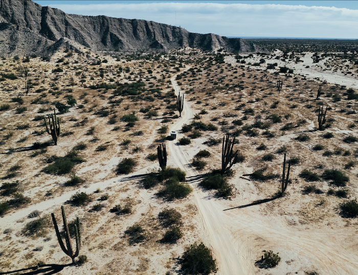 Valle De Los Gigantes, Baja California