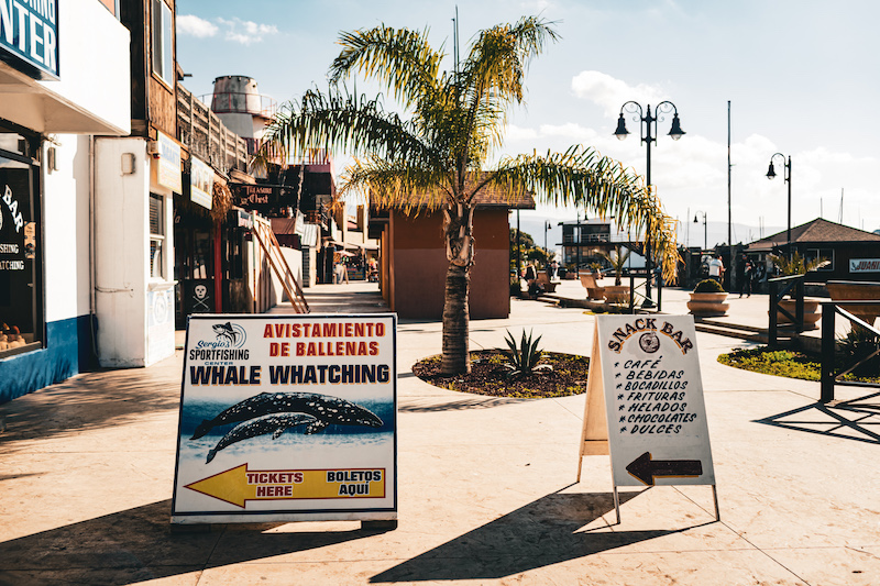 Ensenada is home to one of the largest communities of American expats in Baja California 