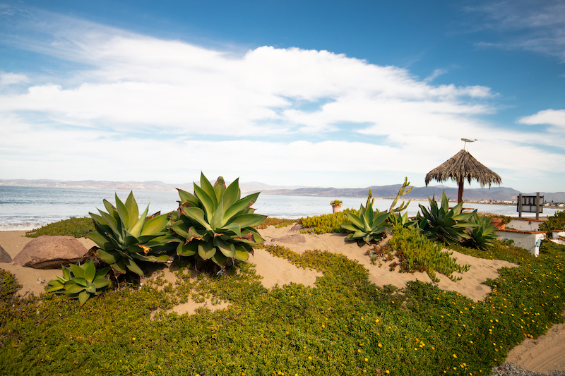 Playa San Miguel Ensenada