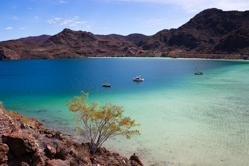 Playa El Burro Baja California