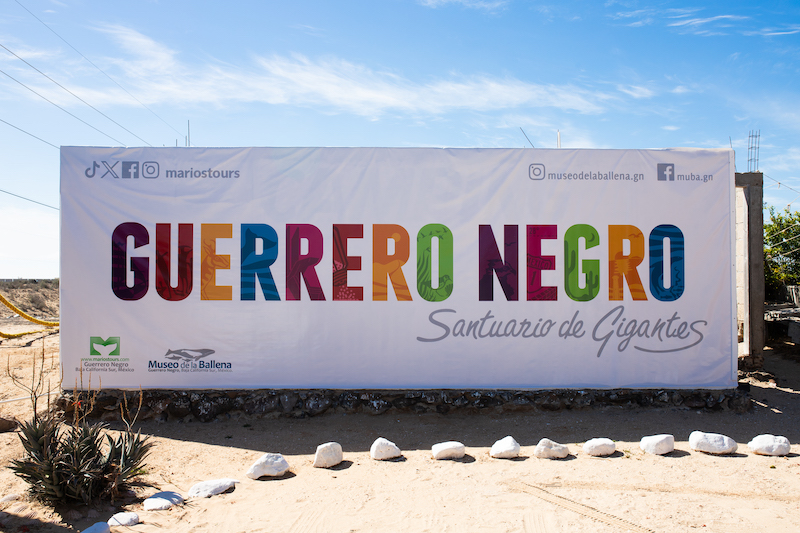 Guerrero Negro is one of the best places for whale watching in Baja California