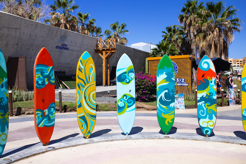 Surfing is one of the best things to do in San Jose Del Cabo