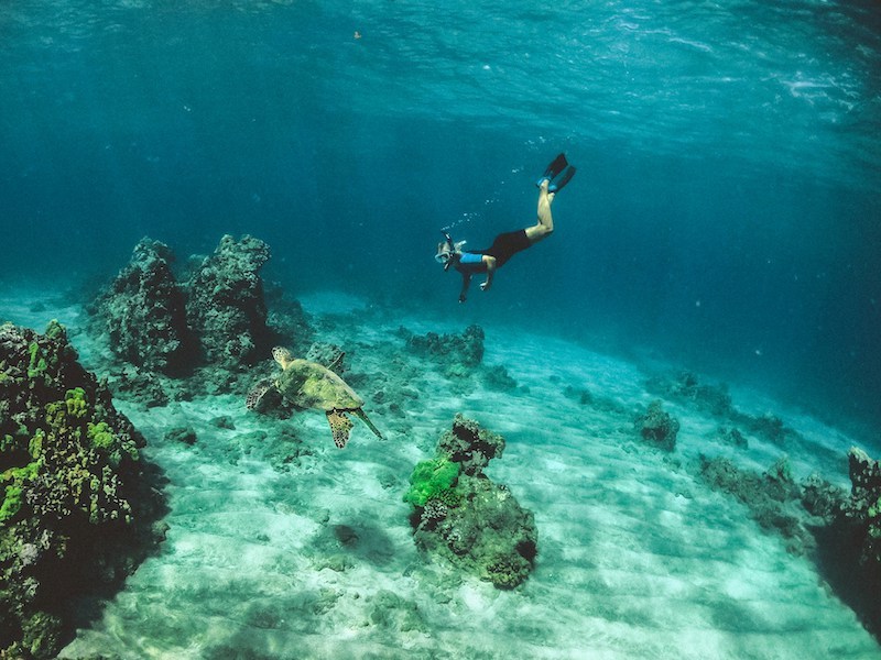 Snorkeling is one of the best activities in San Jose Del Cabo