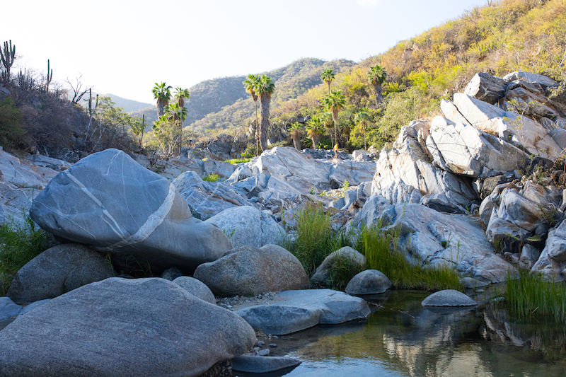 Zorro Canyon is one of the best hikes in Cabo San Lucas that can be done with a guided tour 