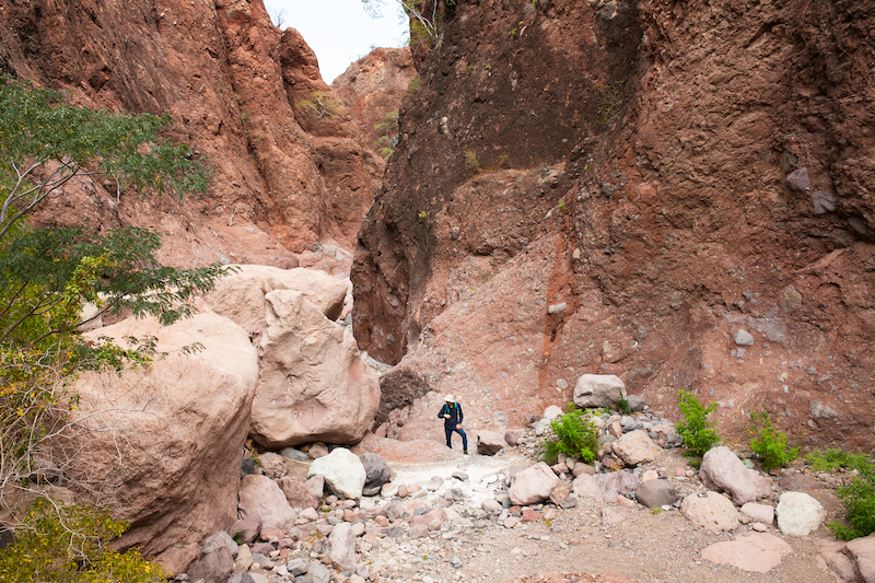 Tabor Canyon is one of the best hikes near Loreto 