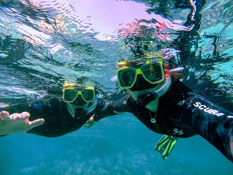 Best snorkeling tours in Cabo San Lucas