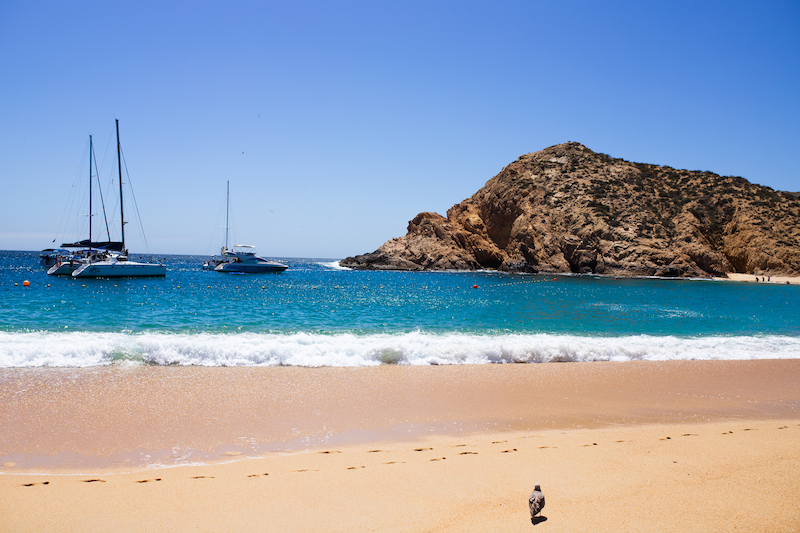 Best time to visit Cabo San Lucas is in November 