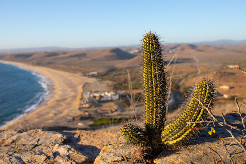 Punta Lobos near Todos Santos 