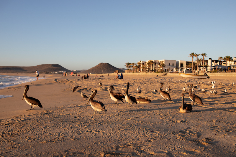 Todos Santos beaches 