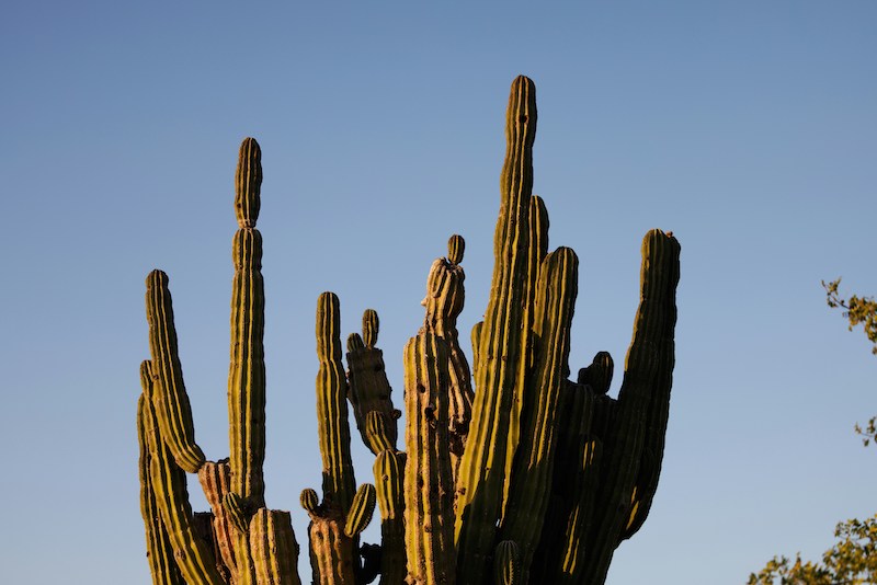 Cabo in April