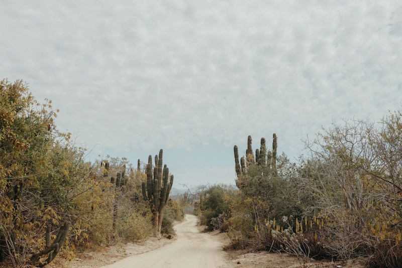 El Pescadero is a small fishing village near Todos Santos