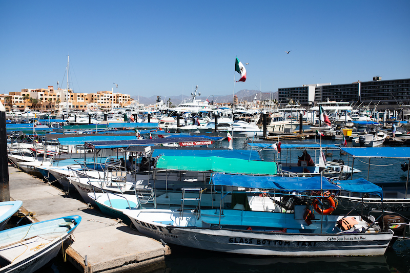 Best things to do in Cabo San Lucas in July