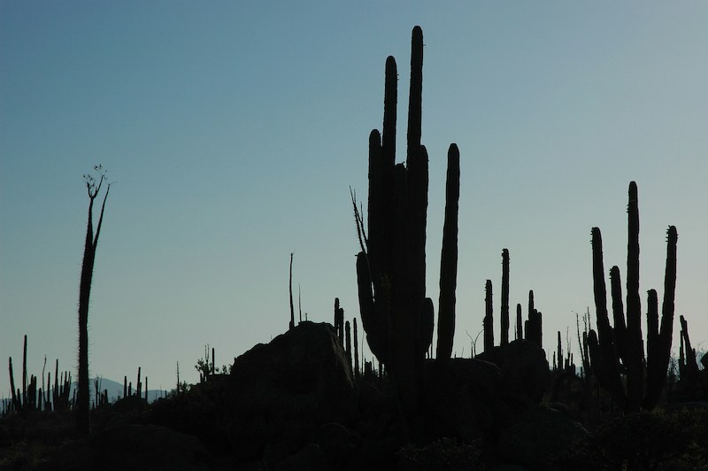 Cabo in August